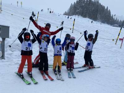 Schneestern Schneestern