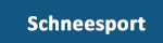 Schneesport